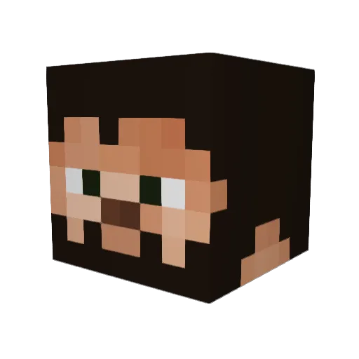 Suliman101 Minecraft avatar head, 3D render