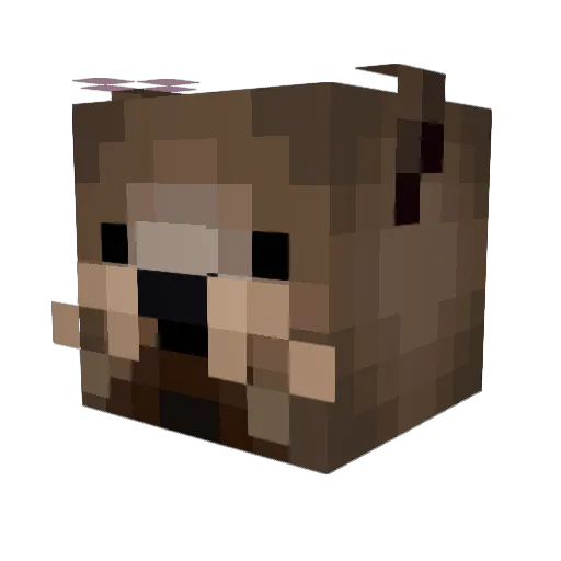 Sulley11 Minecraft avatar head, 3D render