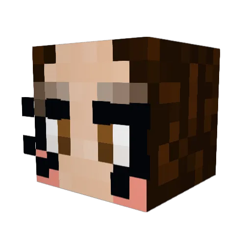 Sullifans Minecraft avatar head, 3D render