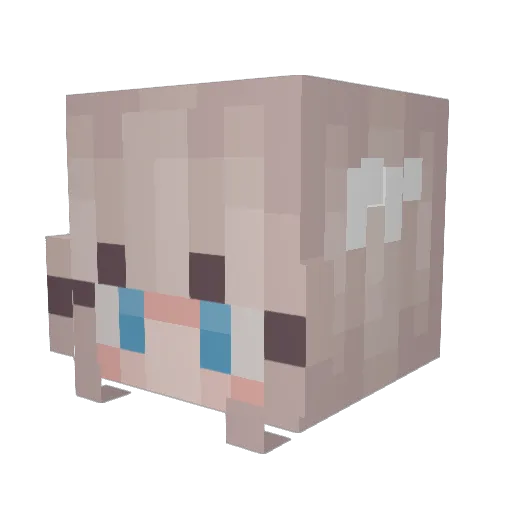 Sulliii Minecraft avatar head, 3D render