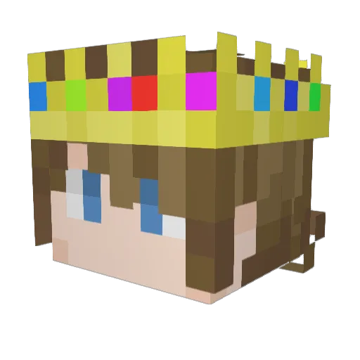 Sully2265 Minecraft avatar head, 3D render