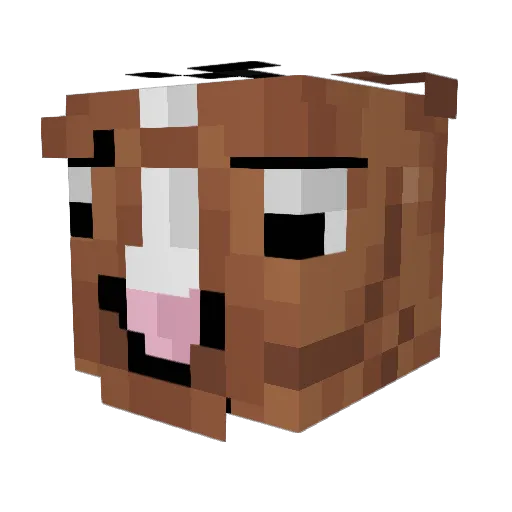 SullyErnaFan420 Minecraft avatar head, 3D render
