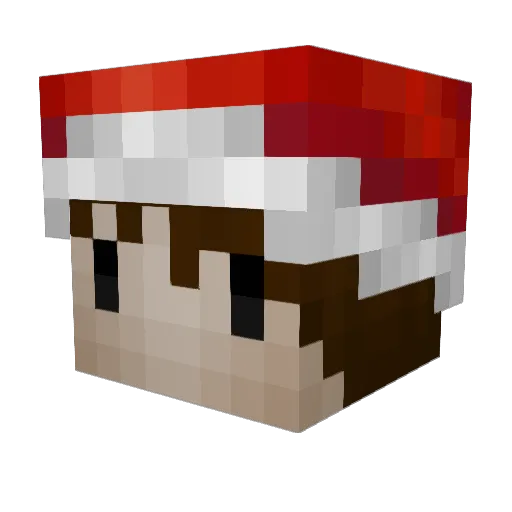 Sully_77 Minecraft avatar head, 3D render