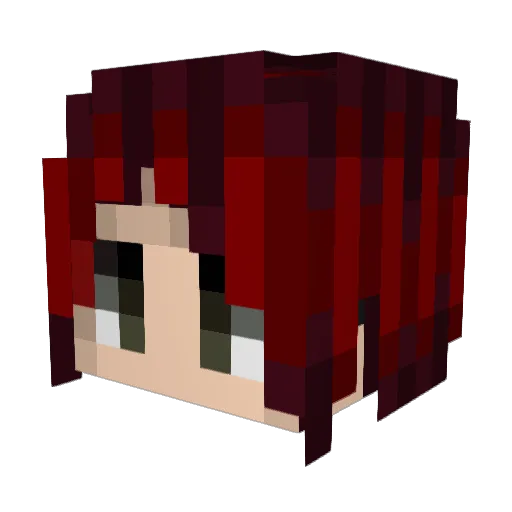 Sully_the_DB Minecraft avatar head, 3D render