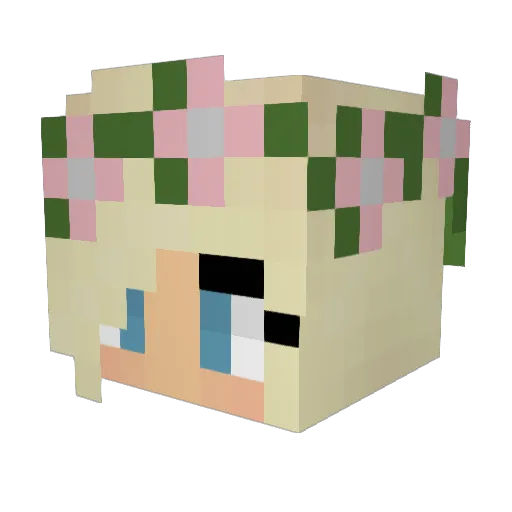 Sullyboss2311 Minecraft avatar head, 3D render