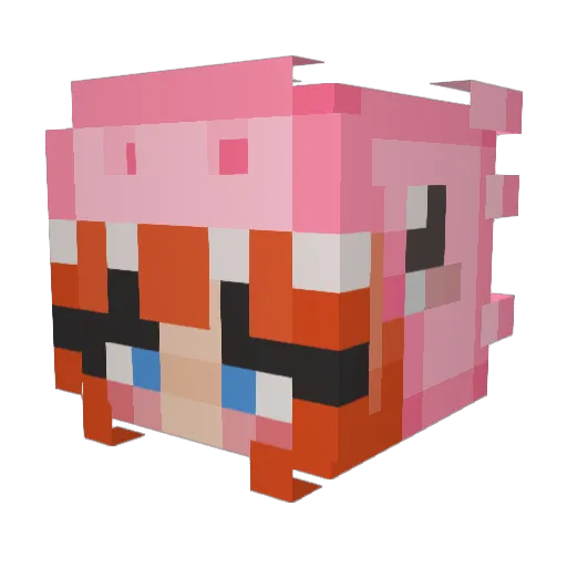 Sullye06 Minecraft avatar head, 3D render