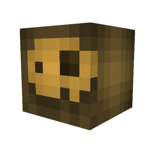 Sullyer111 Minecraft avatar head, 3D render