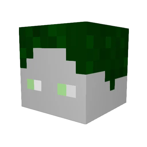 Sullyfan Minecraft avatar head, 3D render