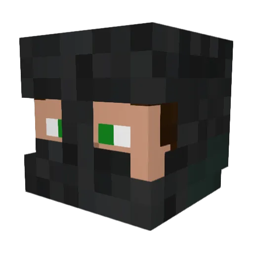 Sullylink Minecraft avatar head, 3D render