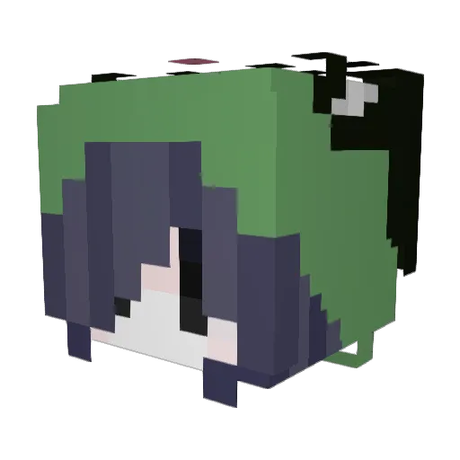 Sullywon Minecraft avatar head, 3D render