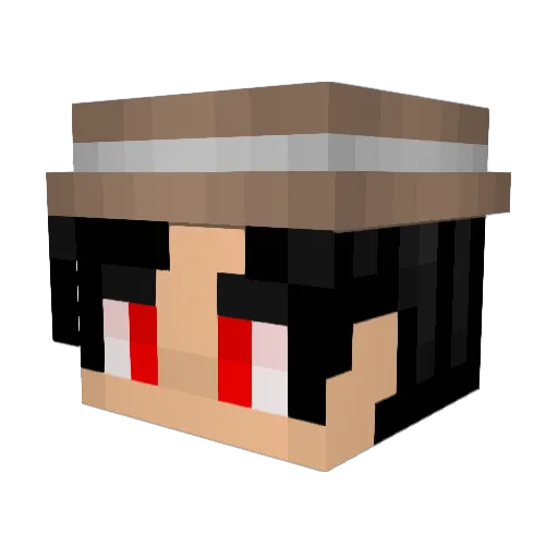Suls4Me Minecraft avatar head, 3D render