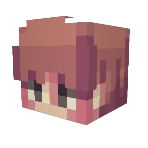 Sultan_n Minecraft avatar head, 3D render