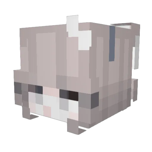 Sultata Minecraft avatar head, 3D render