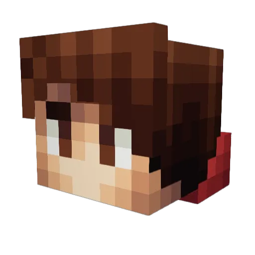 Sulwing Minecraft avatar head, 3D render
