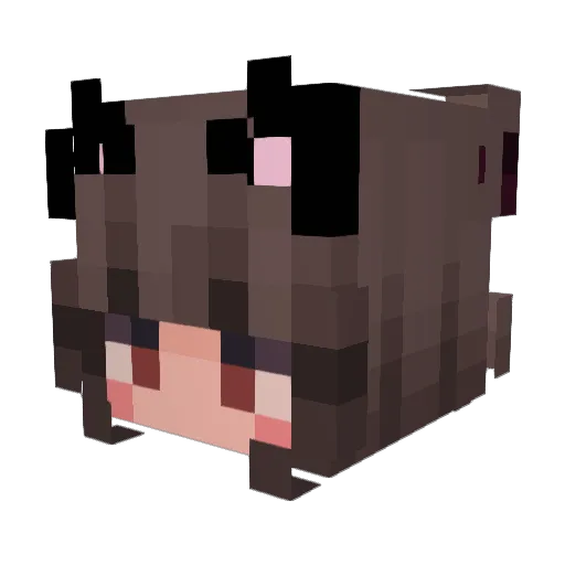SumTheCat Minecraft avatar head, 3D render