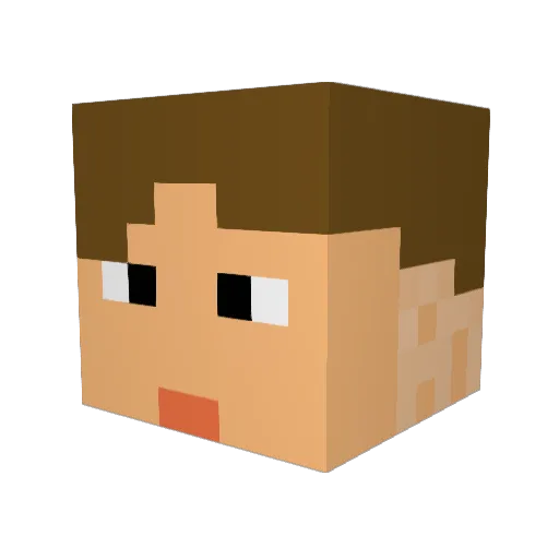Sumber_Crow Minecraft avatar head, 3D render