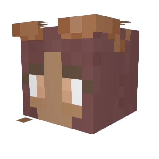 Sumbreon Minecraft avatar head, 3D render