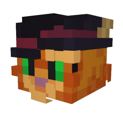 SumdeeUndee Minecraft avatar head, 3D render