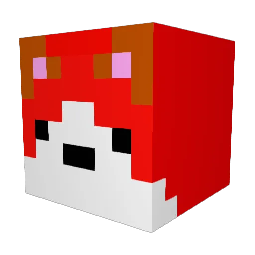 Sumgwang_ Minecraft avatar head, 3D render