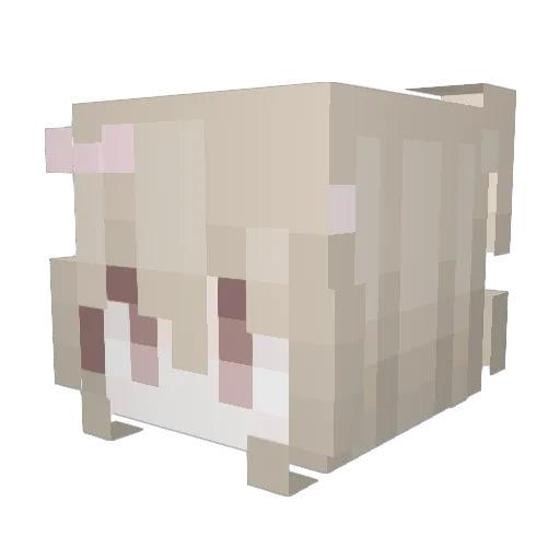 SumiYosh1 Minecraft avatar head, 3D render