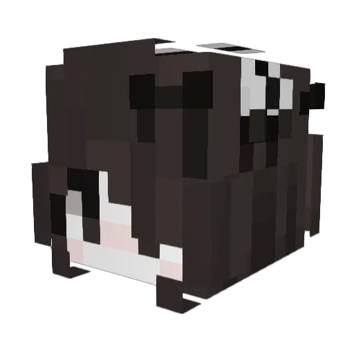 SumikoKaori Minecraft avatar head, 3D render