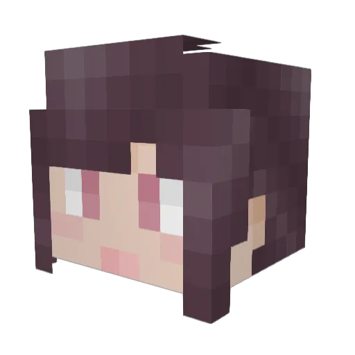 SummaryX Minecraft avatar head, 3D render