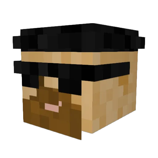 SummedSkate Minecraft avatar head, 3D render