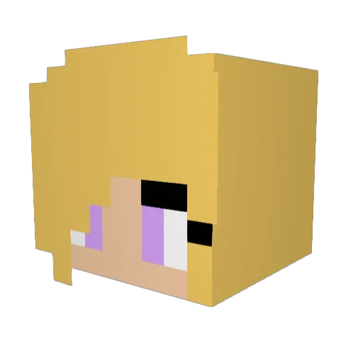 Summer1337 Minecraft avatar head, 3D render