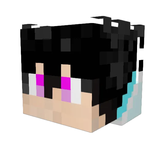 Summer2233 Minecraft avatar head, 3D render