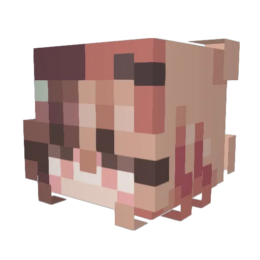 Summer753159 Minecraft avatar head, 3D render