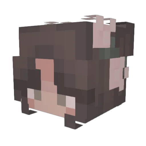 Summer97 Minecraft avatar head, 3D render