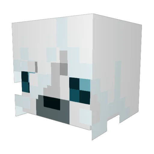 SummerBerry3541 Minecraft avatar head, 3D render