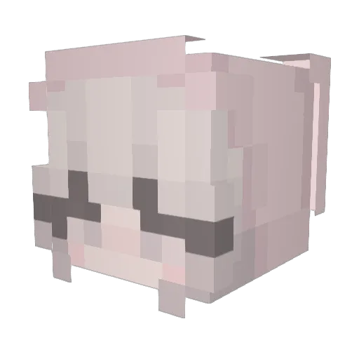 SummerCozyRock Minecraft avatar head, 3D render