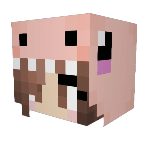 SummerCutie Minecraft avatar head, 3D render