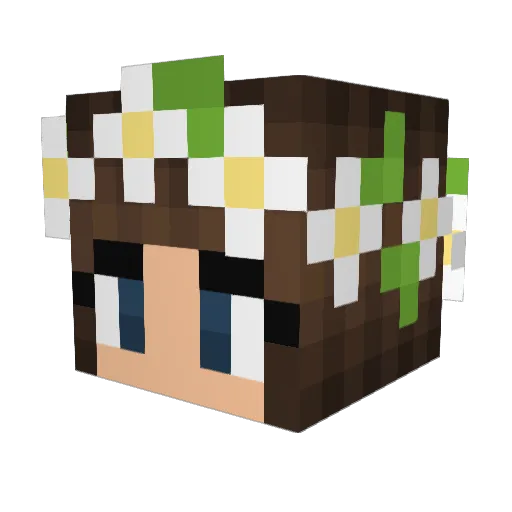 SummerEvening Minecraft avatar head, 3D render