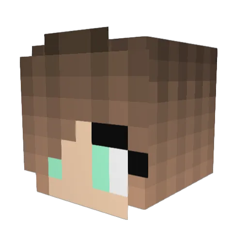 SummerGirl000 Minecraft avatar head, 3D render