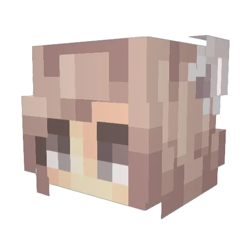SummerIsSaltyyy Minecraft avatar head, 3D render