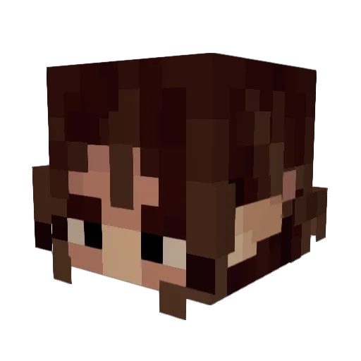 SummerSuns Minecraft avatar head, 3D render