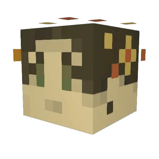 SummerSuperb Minecraft avatar head, 3D render