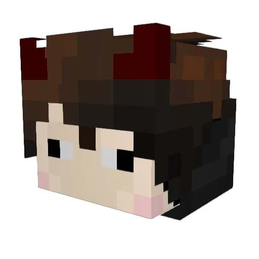 Summer_Albert Minecraft avatar head, 3D render