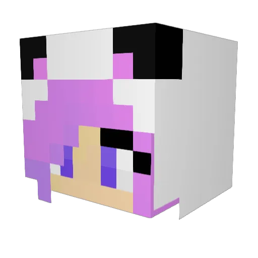 Summer_Games432 Minecraft avatar head, 3D render