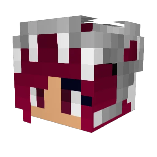 Summer_Storm Minecraft avatar head, 3D render