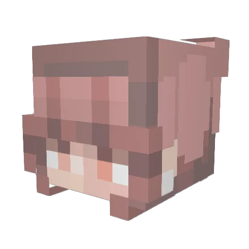 Summer__Cat Minecraft avatar head, 3D render