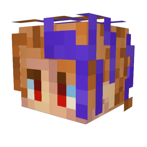 Summer_fun_Caleb Minecraft avatar head, 3D render