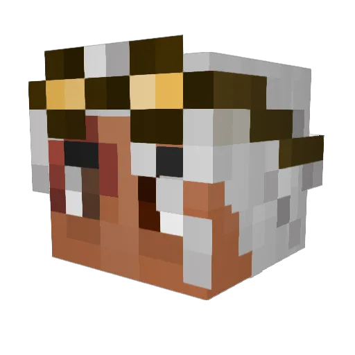 Summerdude_22 Minecraft avatar head, 3D render
