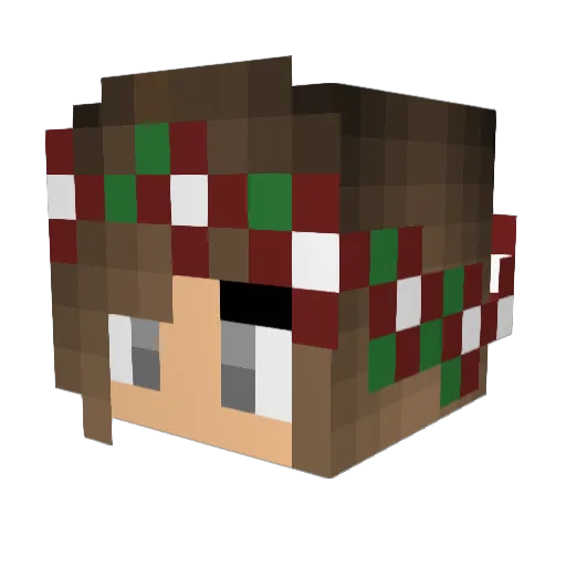 Summerkid2002 Minecraft avatar head, 3D render