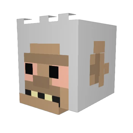 Summmy Minecraft avatar head, 3D render