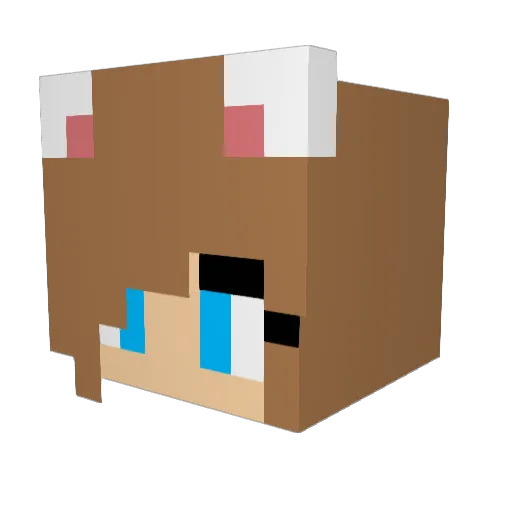 Summoner_Cat Minecraft avatar head, 3D render