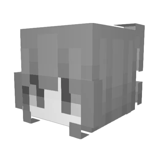 Summrsrn Minecraft avatar head, 3D render