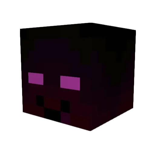 Sumnerfam Minecraft avatar head, 3D render
